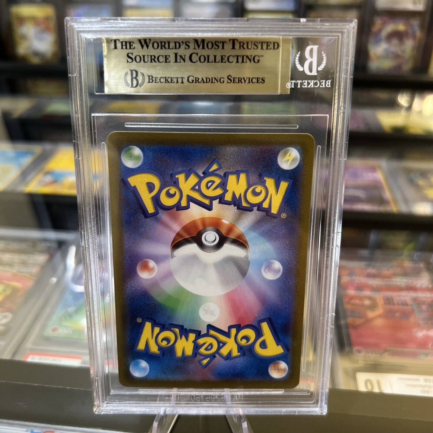 43395558