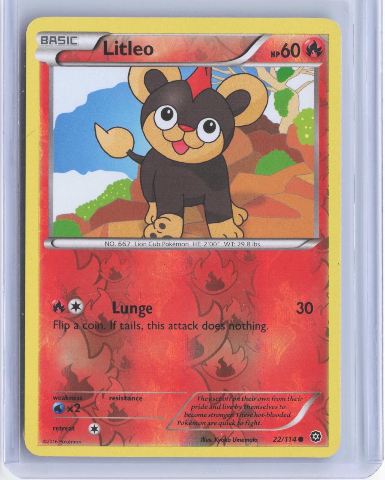 Litleo 22/114 Common Steam Siege Pokemon Reverse Holo TCG Card