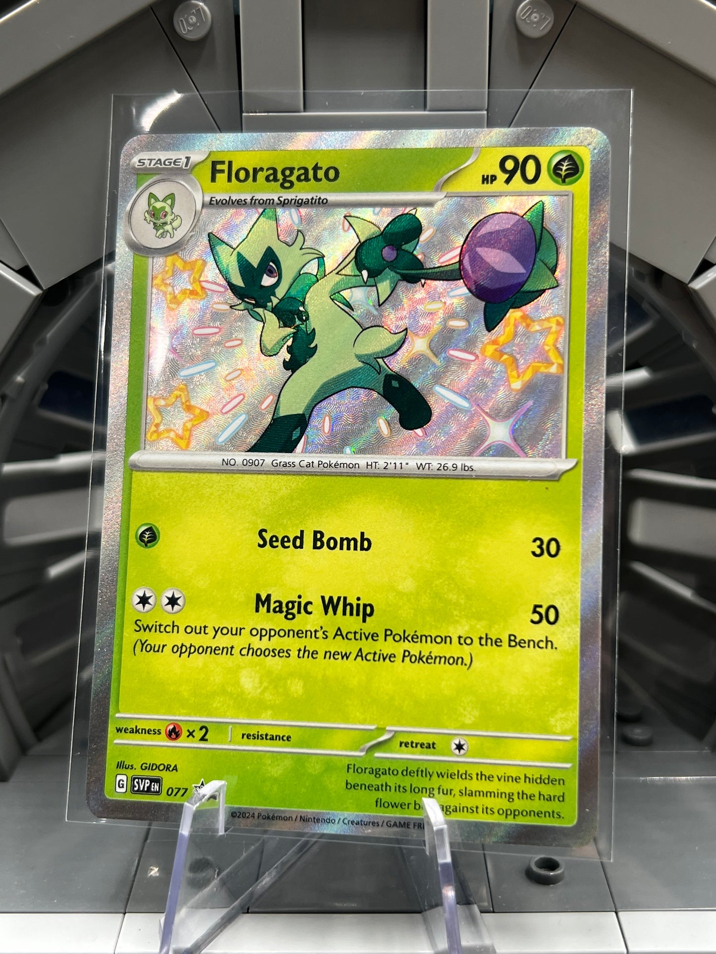 Floragato - 077 - SV: Scarlet & Violet Promo Cards (SVP) Pokémon TCG