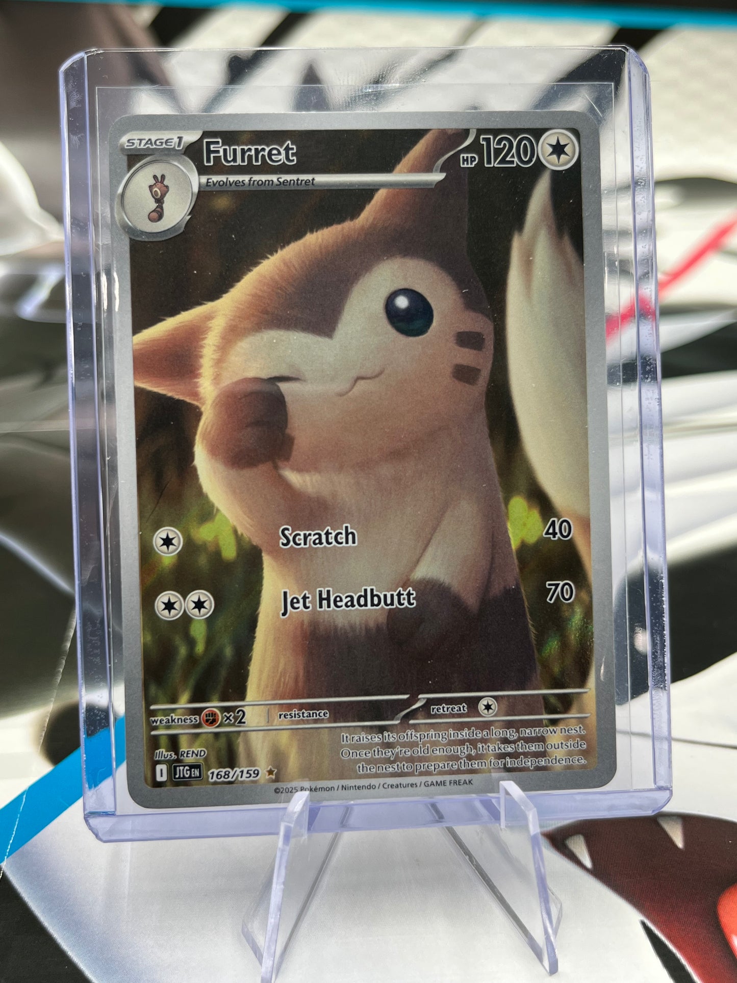 Furret - 168/159 - SV09: Journey Together (JTG) Pokémon Card TCG