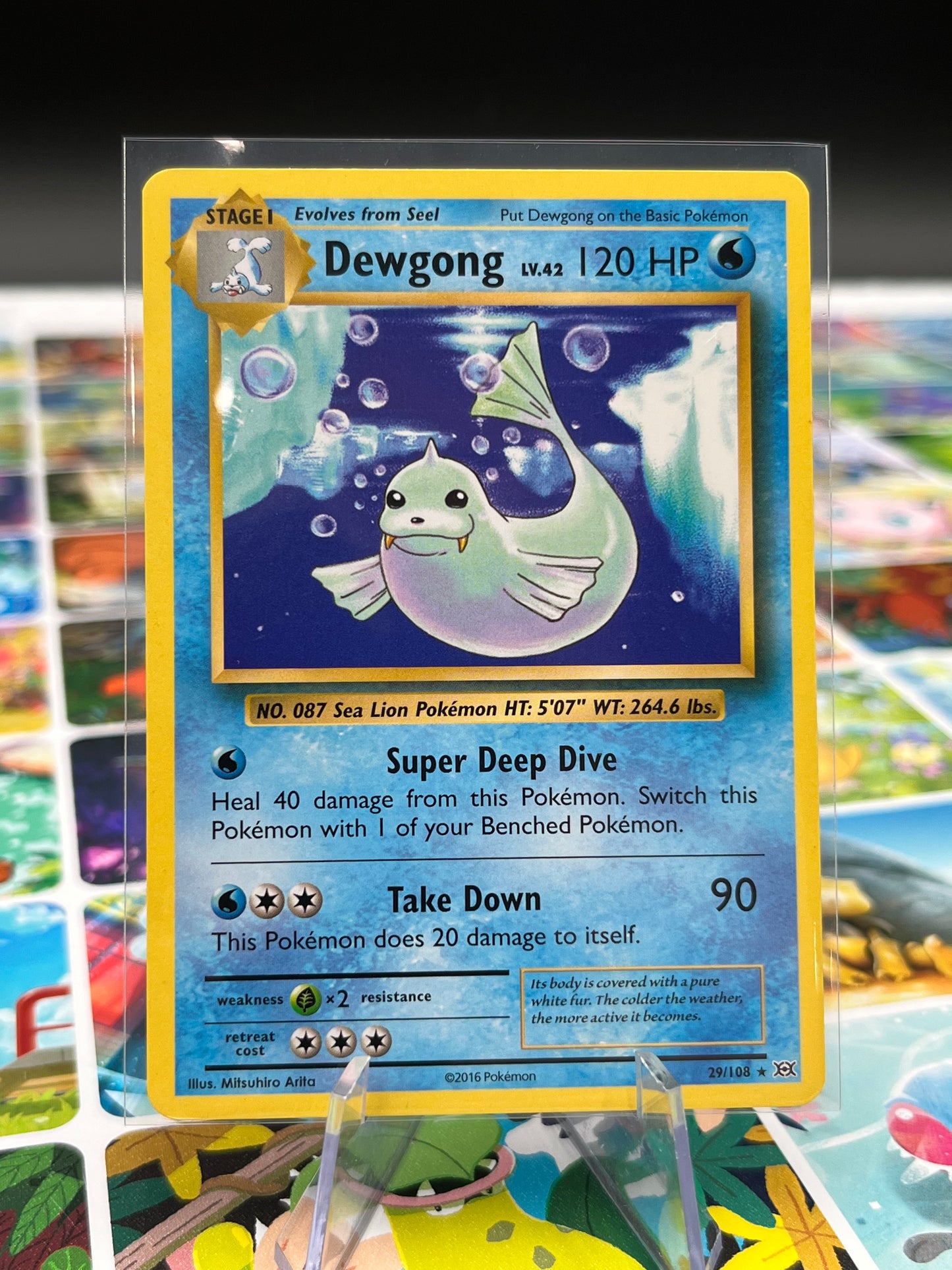 Dewgong - 29/108 - XY - Evolutions (EVO) Pokémon TCG