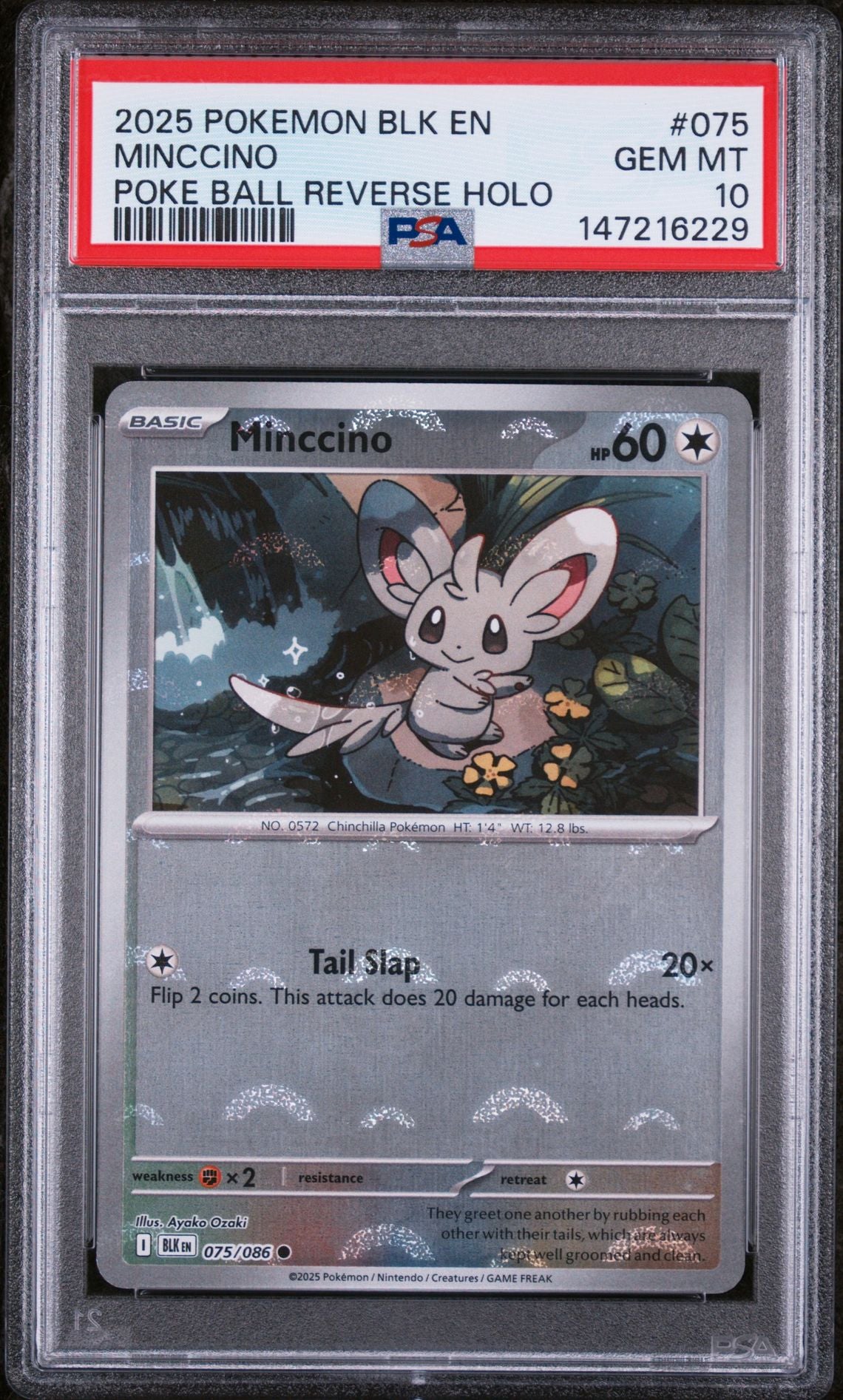 PSA 10 2025 POKEMON BLK EN-BLACK BOLT 075 MINCCINO POKE BALL REVERSE HOLO Graded Pokémon TCG Card