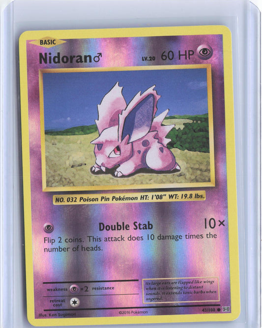 Nidoran M 43/108 Common Evolutions Pokemon Reverse Holo TCG Card