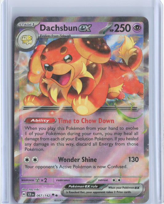 Dachsbun ex 67/142 Double Rare Stellar Crown Pokemon Holo