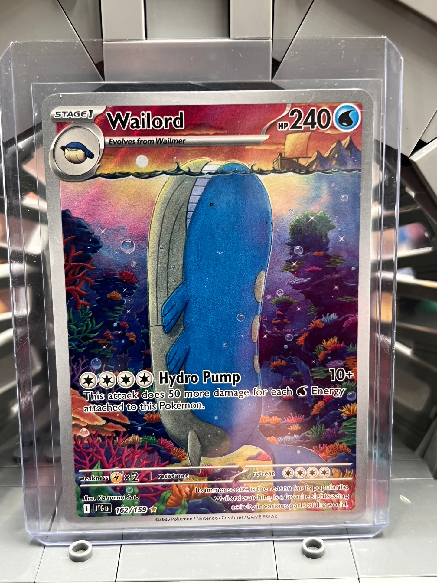 Wailord - 162/159 - SV09: Journey Together (JTG) Pokémon TCG