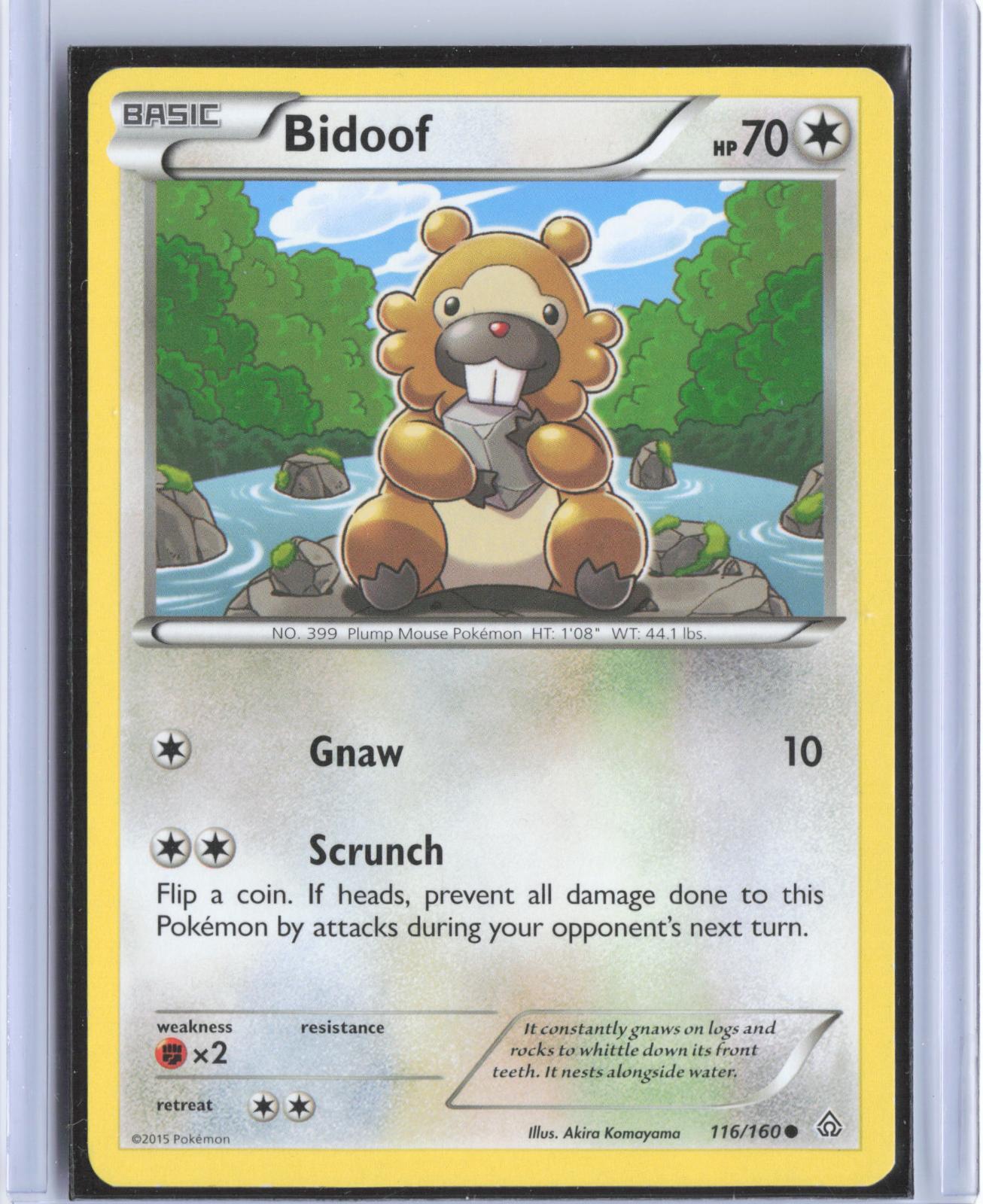 Bidoof 116/160 Common Primal Clash Pokemon TCG Card