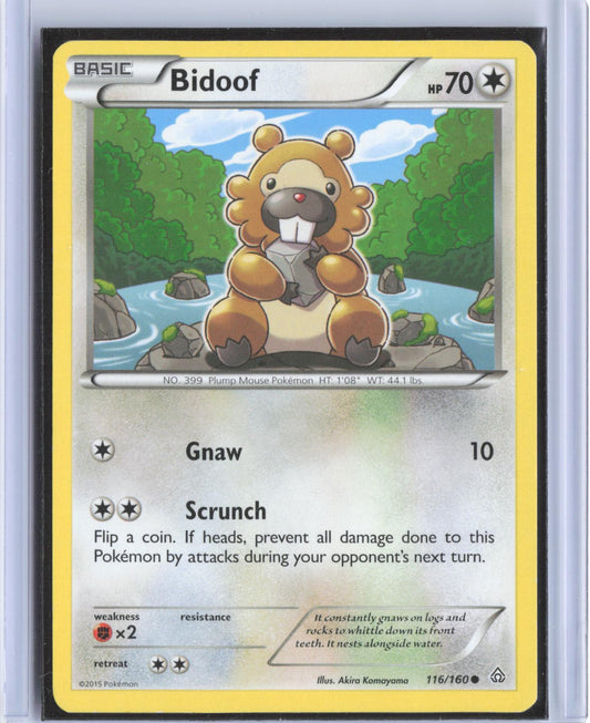 Bidoof 116/160 Common Primal Clash Pokemon TCG Card