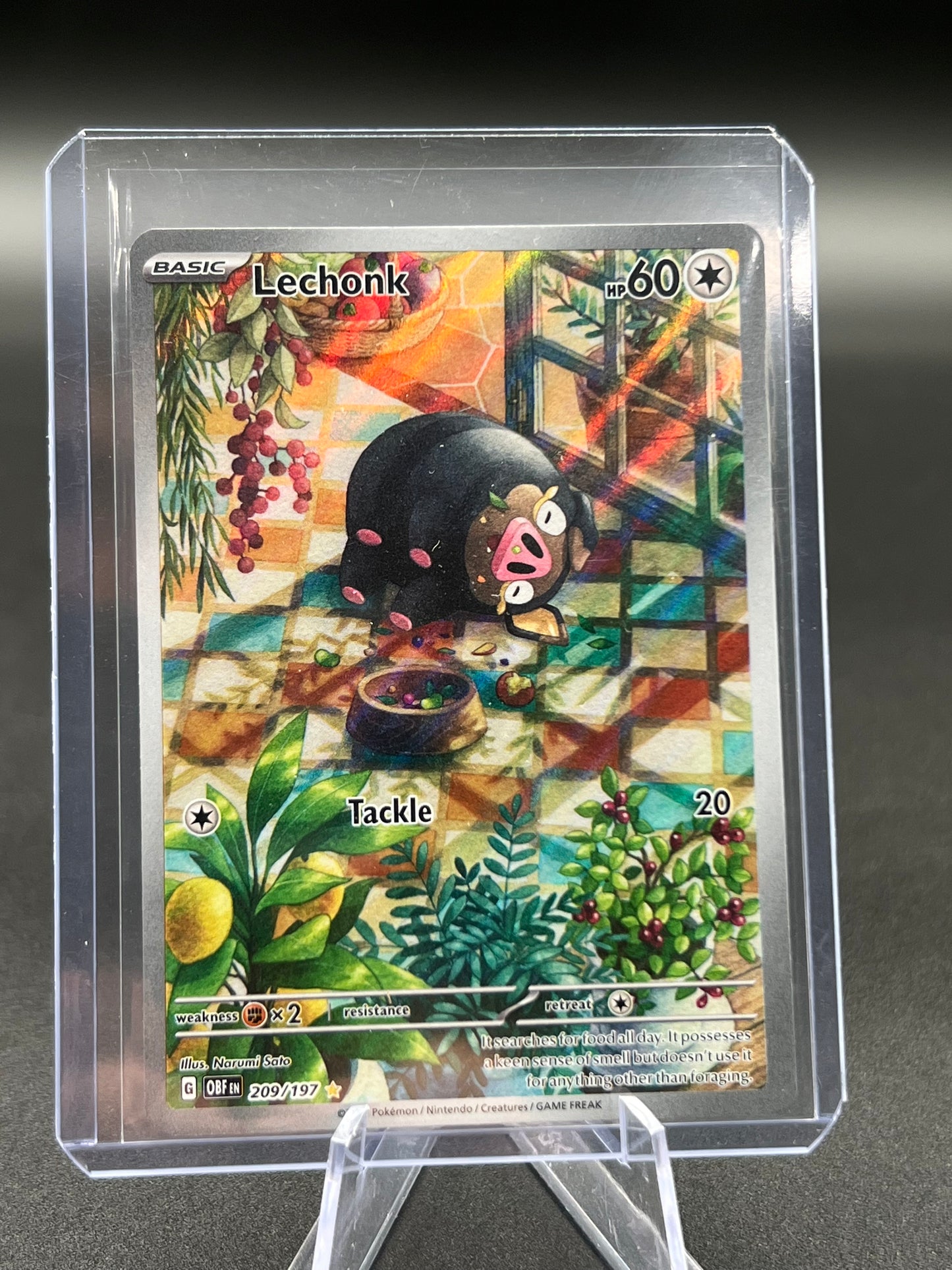 Lechonk - 209/197 - SV03: Obsidian Flames (OBF) Pokémon TCG