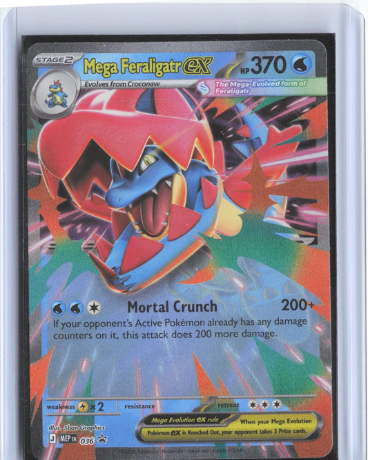 Mega Feraligatr ex 036 Holo Promo Jumbo Cards Pokemon