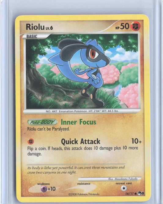 Riolu 16/17 Common POP Series 8 Pokemon