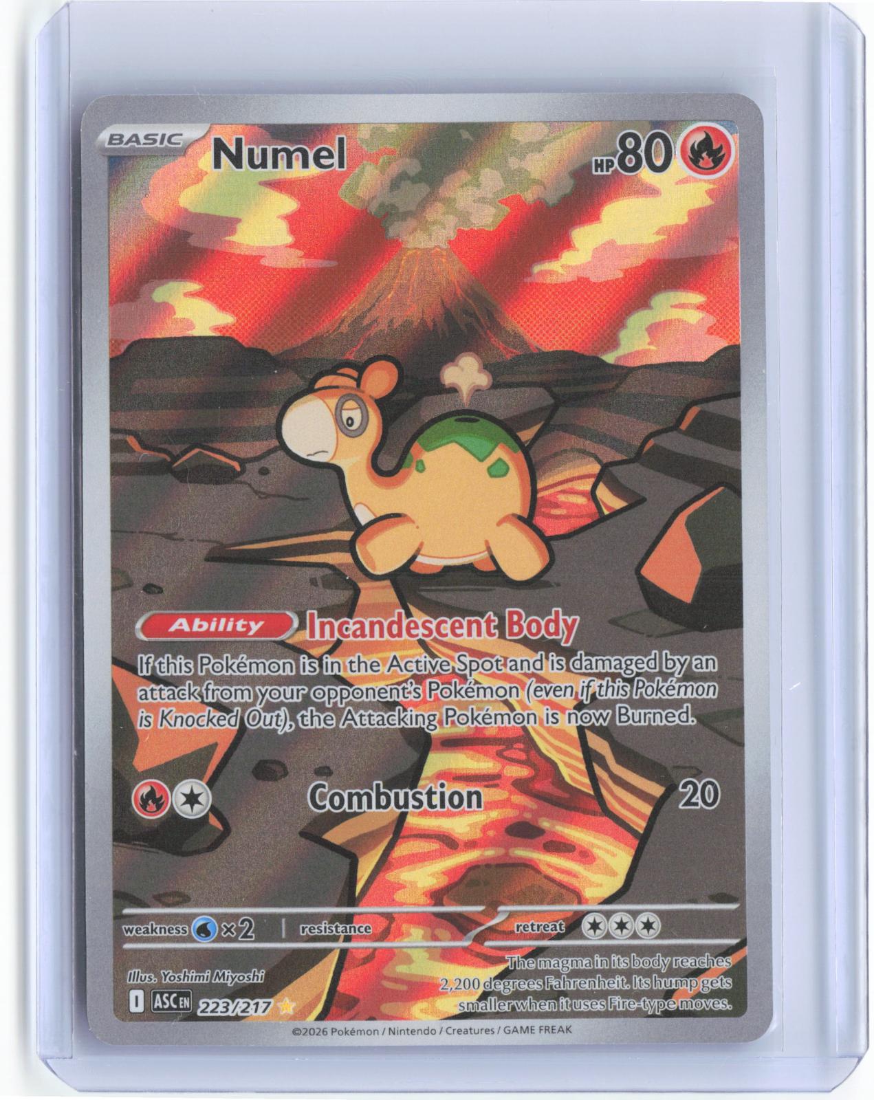Numel 223/217 Illustration Rare Ascended Heroes Pokemon TCG Card