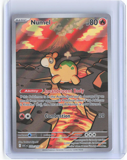 Numel 223/217 Illustration Rare Ascended Heroes Pokemon TCG Card