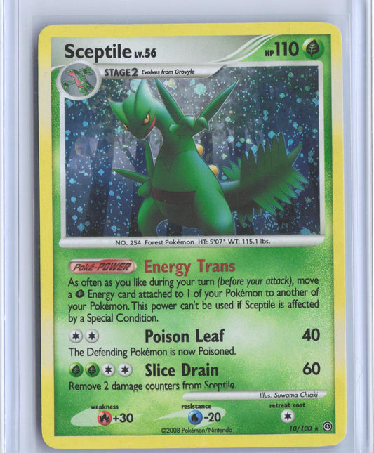 Sceptile 10/100 Holo Rare Stormfront Pokemon Holo TCG Card