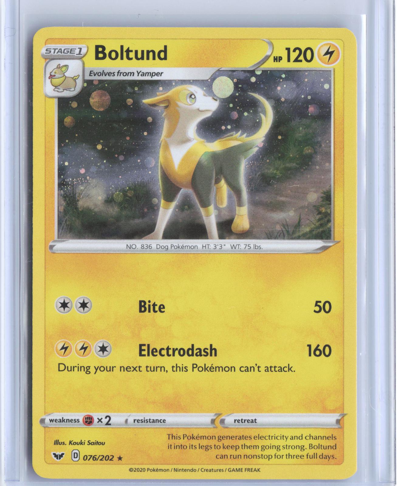 Boltund 076/202 Holo Rare Sword & Shield Pokemon Holo TCG Card