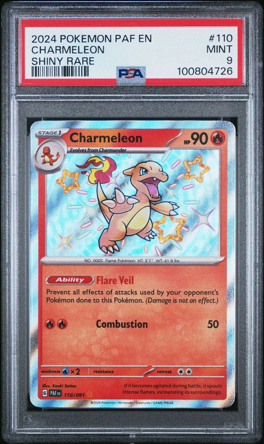 44041462