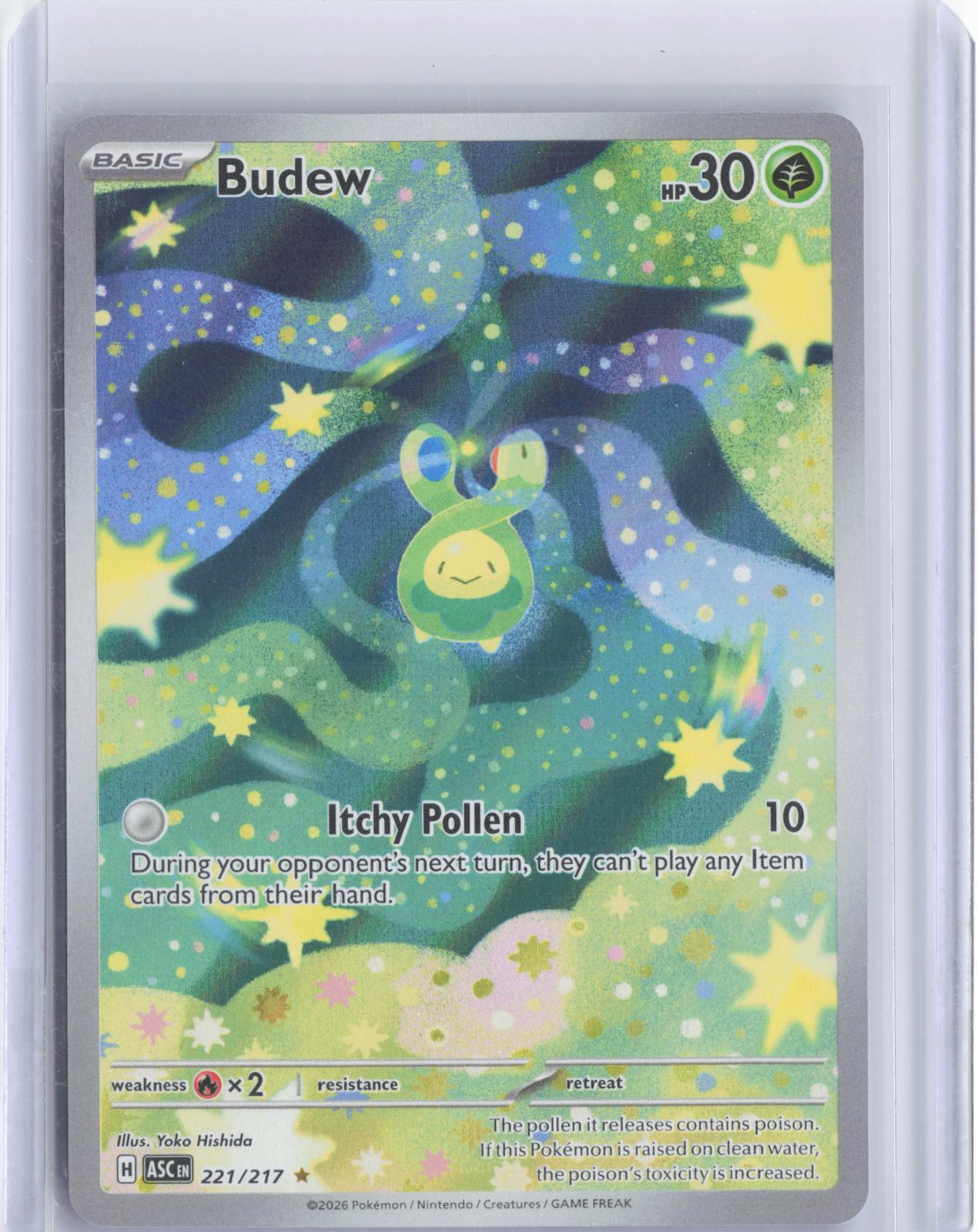 Budew 221/217 Illustration Rare Ascended Heroes Pokemon TCG Card