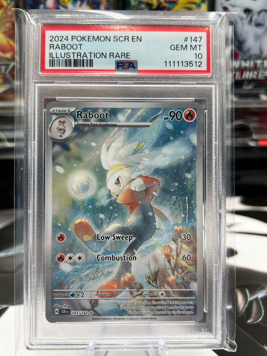PSA 10 Raboot Illustration Rare - 147/142 - SV07: Stellar Crown (SCR) Pokémon TCG