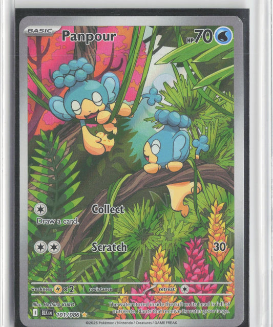 Panpour 101/086 Holo Illustration Rare Black Bolt Pokemon
