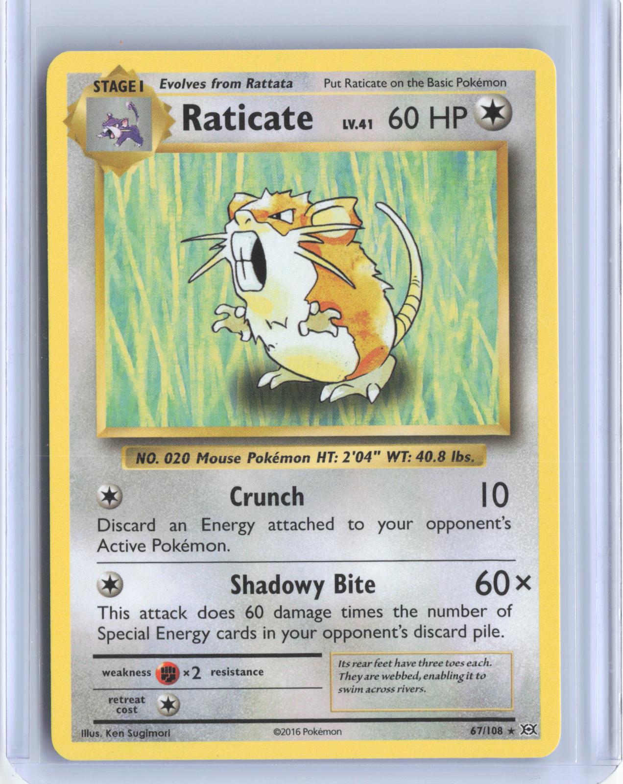 Raticate 67/108 Rare Evolutions Pokemon TCG Card
