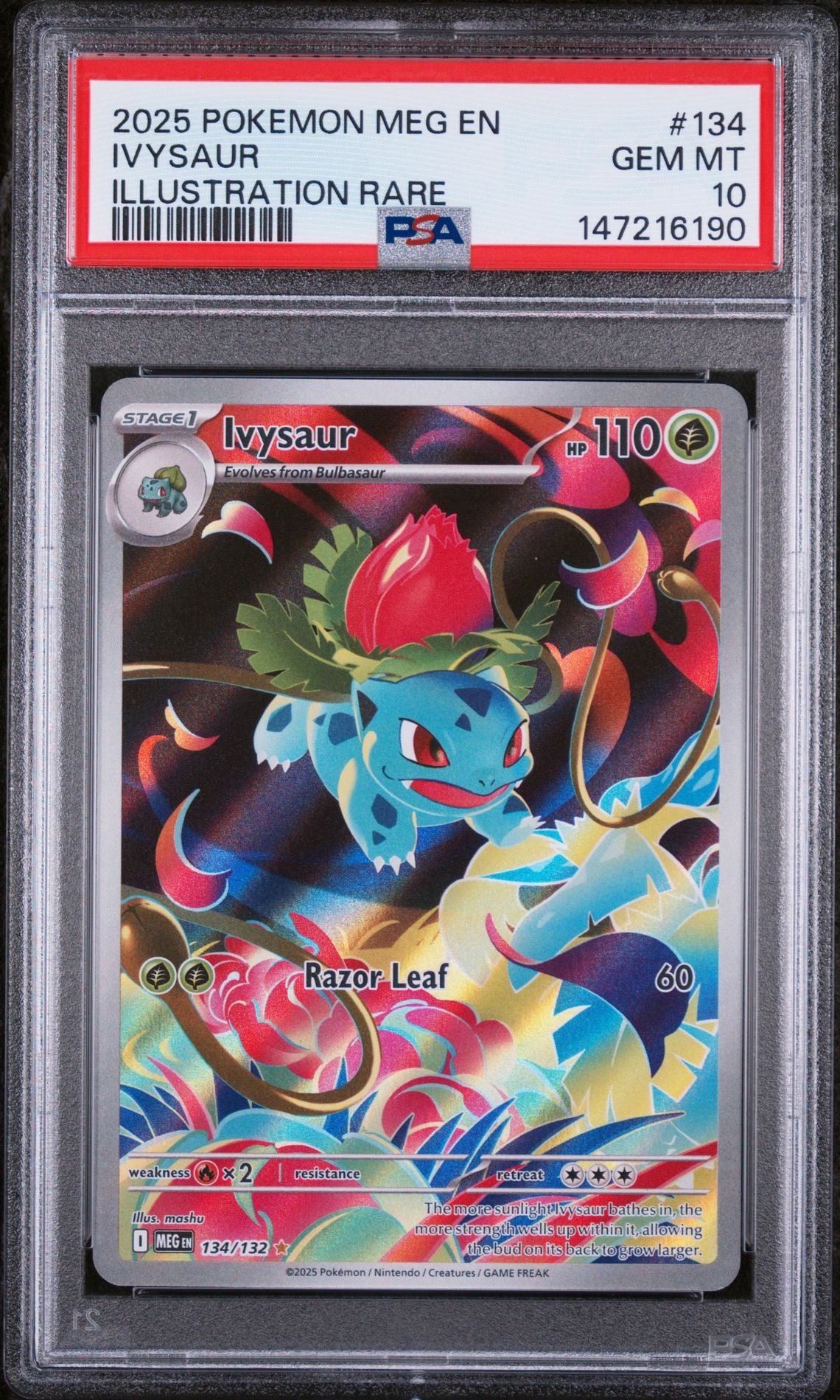 PSA 10 2025 POKEMON MEG EN-MEGA EVOLUTION 134 IVYSAUR ILLUSTRATION RARE Graded Pokémon TCG Card