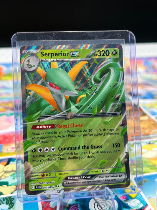 Serperior ex 003/086 - SV: Black Bolt (BLK) Pokémon Card TCG