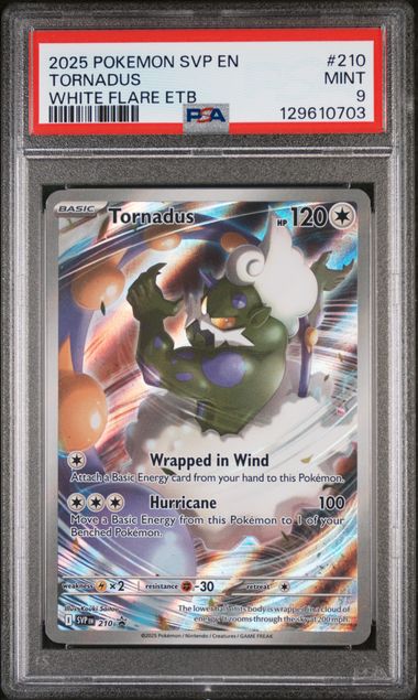 PSA 9  Tornadus - 210 - SV: Scarlet & Violet Promo Cards (SVP) Graded Pokémon TCG