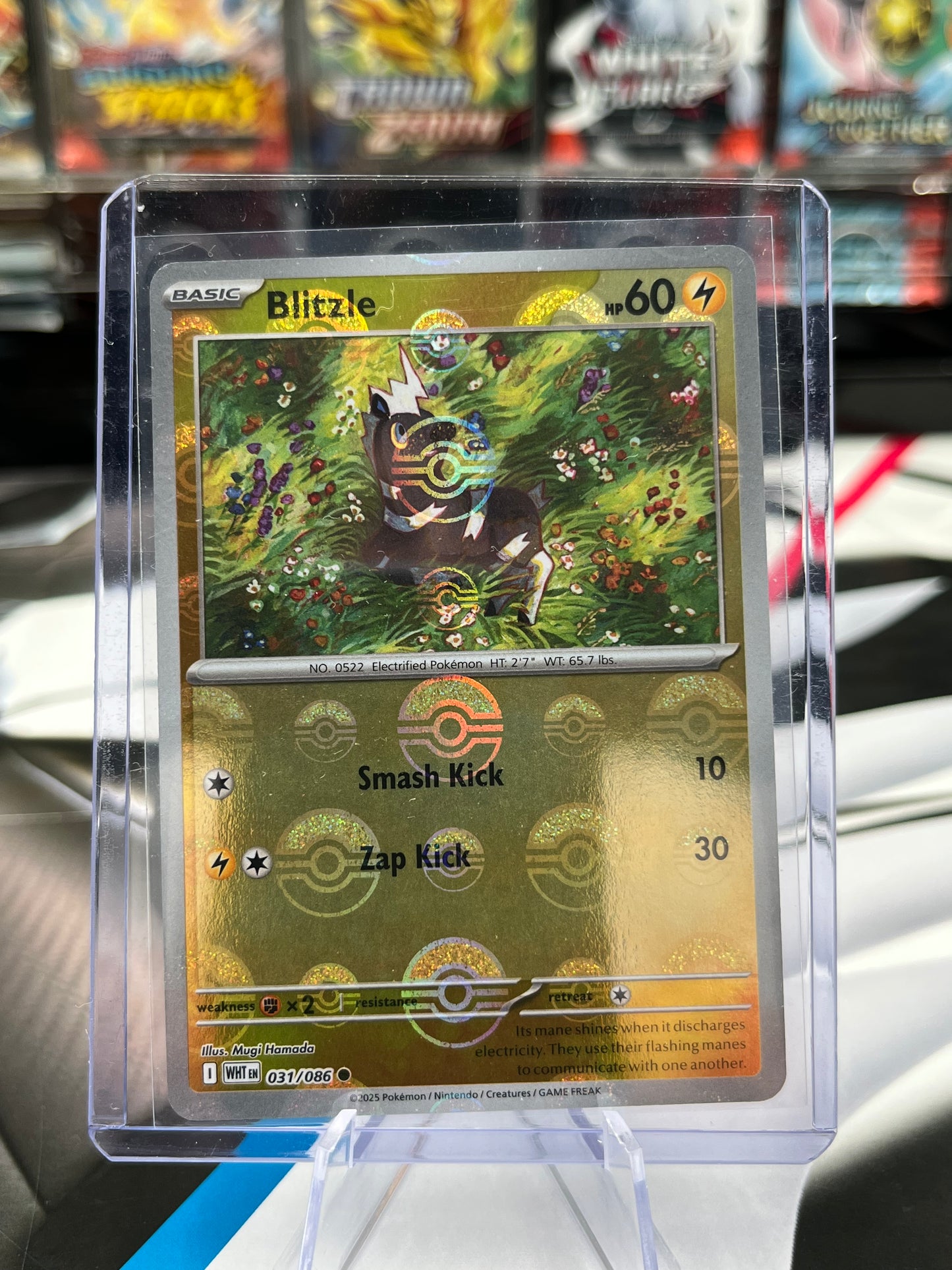 Blitzle (Poke Ball Pattern) - 031/086 - SV: White Flare (WHT) POKÉMON TCG