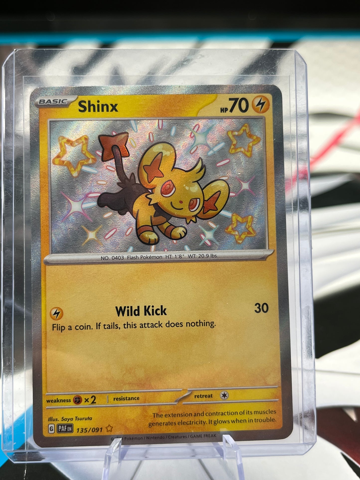 Shinx - 135/091 - SV: Paldean Fates (PAF) Pokémon TCG