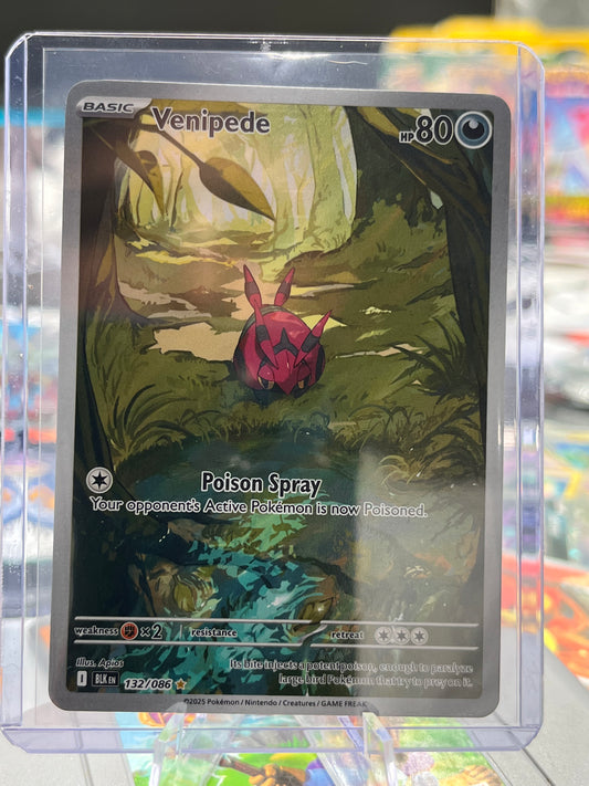 Venipede - 132/086 - SV: Black Bolt (BLK) Pokémon TCG