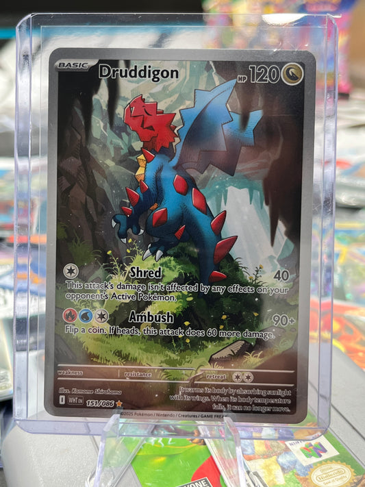 Druddigon - 151/086 - SV: White Flare (WHT) Pokémon TCG
