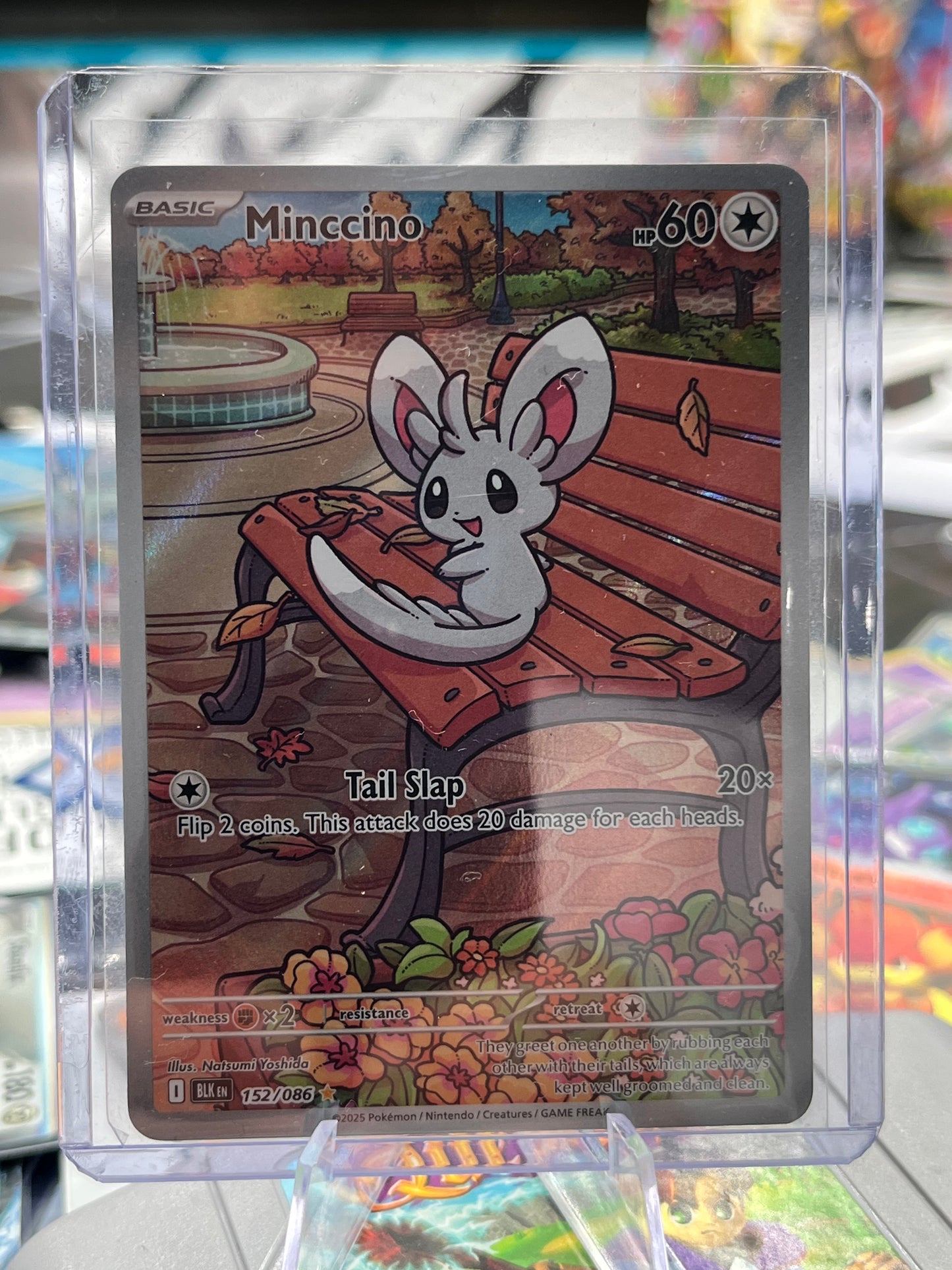 Minccino - 152/086 - SV: Black Bolt (BLK) Pokémon TCG