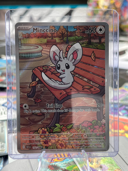 Minccino - 152/086 - SV: Black Bolt (BLK) Pokémon TCG