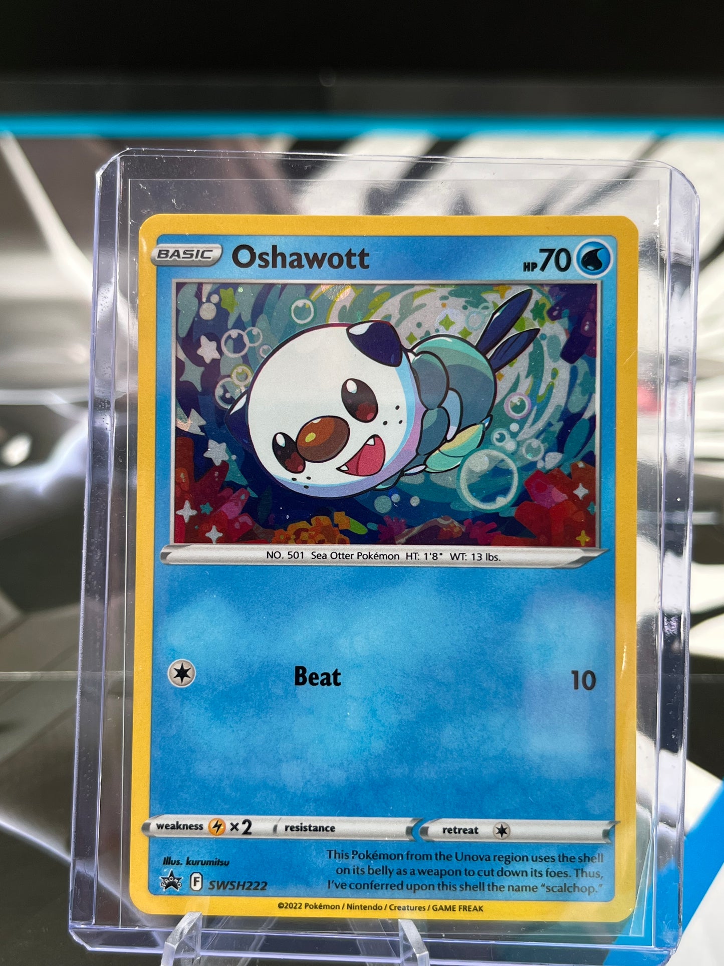 Oshawott - SWSH222 - SWSH: Sword & Shield Promo Cards (SWSD) Pokémon TCG