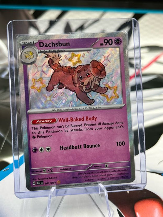 Dachsbun - 161/091 - SV: Paldean Fates (PAF) Pokémon TCG