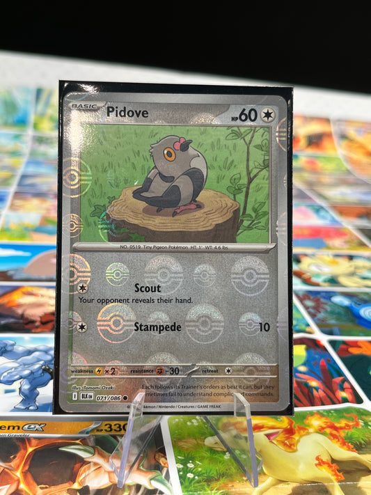 Pidove (Poke Ball Pattern) - 071/086 - SV: Black Bolt (BLK) Pokémon Card TCG