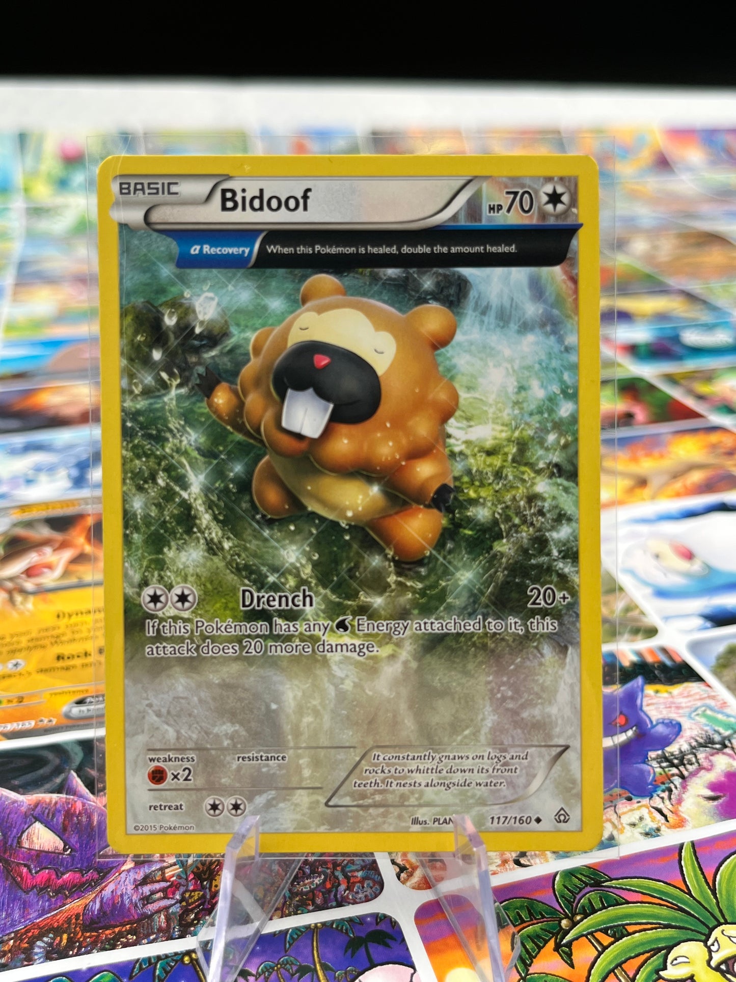 Bidoof (Alpha) - 117/160 - XY - Primal Clash (PRC) Pokémon Card TCG
