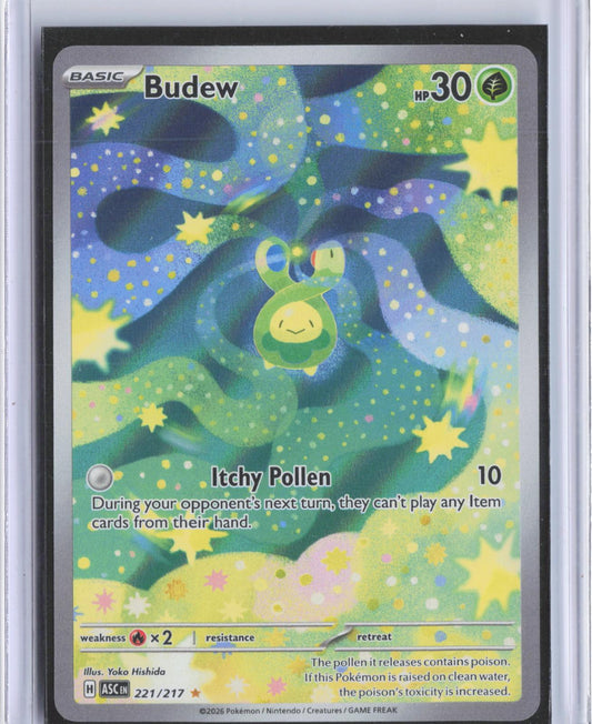 Budew 221/217 Illustration Rare Ascended Heroes Pokemon Holo