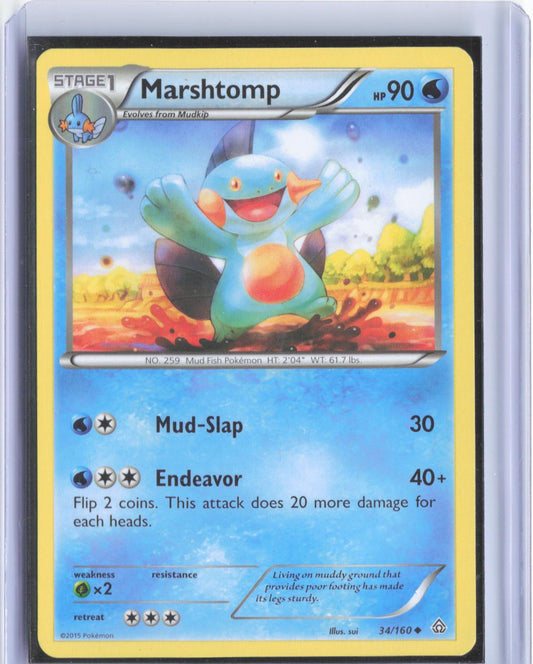 Marshtomp 34/160 Uncommon Primal Clash Pokemon TCG Card