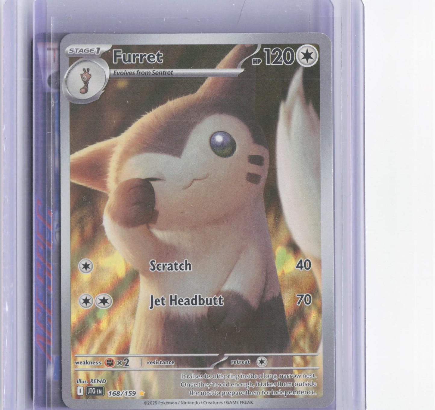 Furret 168/159 Illustration Rare Journey Together Pokemon Holo