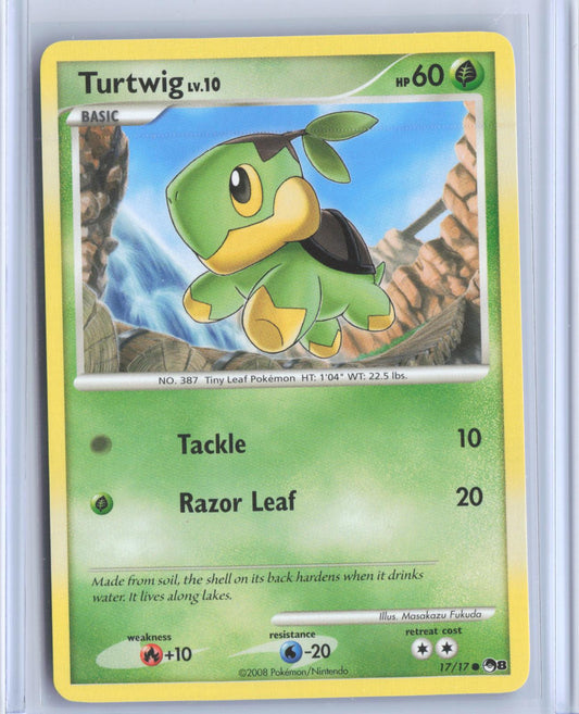 Turtwig 17/17 Common POP Series 8 Pokemon