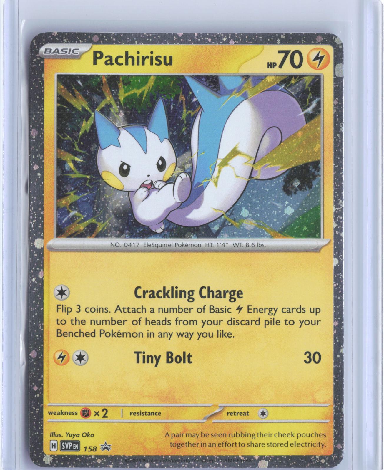 Pachirisu 158 Holo Promo Scarlet & Violet Promo Pokemon TCG Card