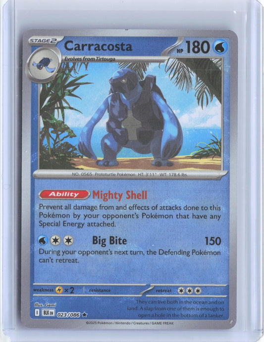 Carracosta (Poke Ball Pattern) 023/086 Holo Rare Black Bolt Pokemon